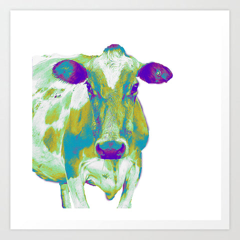 White Cow