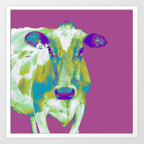 Purple Cow