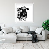 Black and White Cow