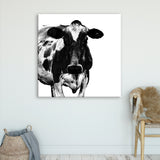 Black and White Cow