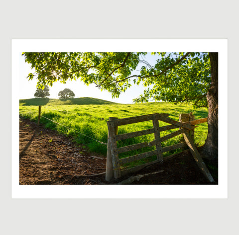 Gate and Paddock