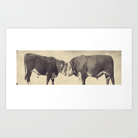 Bulls in Sepia