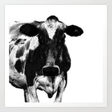 Black and White Cow